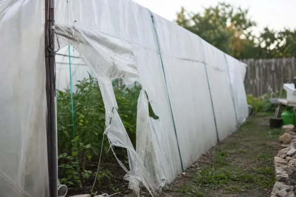 Când trebuie schimbată folia solarului și cum recunoști degradarea