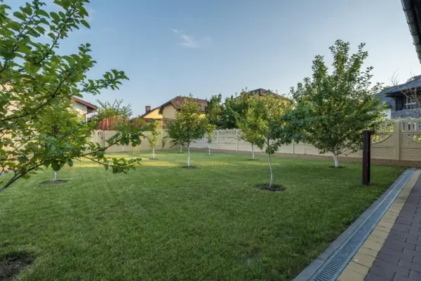La ce distanță de limita proprietății trebuie plantați copacii? Reguli și excepții